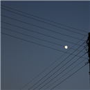 Moon skating on the wires