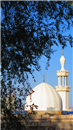 المساجد و القباب عنوان الارث الاسلامي ورمز التسامح