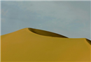 جمال الصحراء