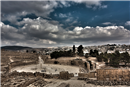 Jerash2011