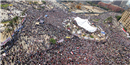 يناير ... ميدان التحرير و بداية الثورة المصريه