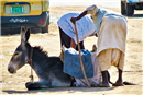 عناد في الطريق 