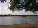 my university's lake in daylight