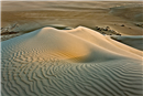 جمال الصحراء