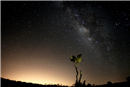 Alone under the Milky-Way