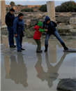 غريزة الأم