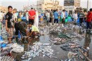 Qatif Fish Mall - سوق السمك